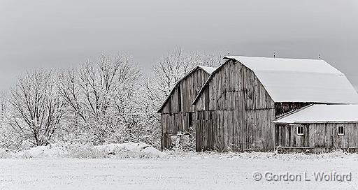 Barns In Spring Wonderland_DSCF6589.jpg - Photographed near Smiths Falls, Ontario, Canada.